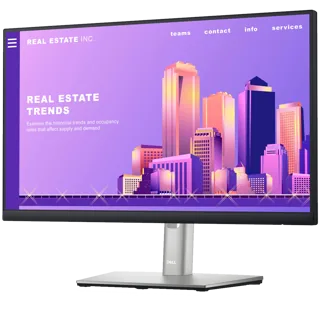 Dell Monitor P2422H LED 24" 60.5CM (23.8")