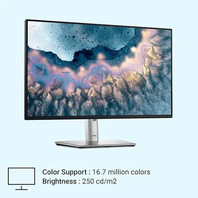 Dell Monitor P2425H
