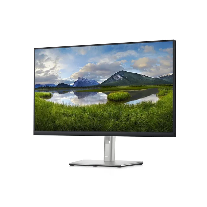 Dell Monitor P2422H LED 24" 60.5CM (23.8")