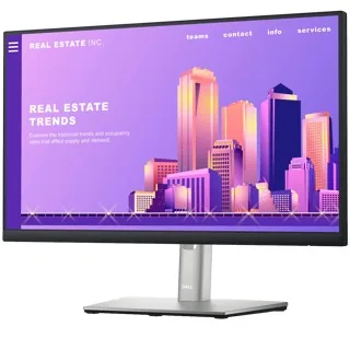 Dell Monitor P2422H LED 24" 60.5CM (23.8")